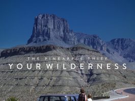 The pineapple thief your wilderness