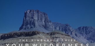The pineapple thief your wilderness